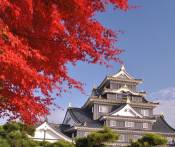 Du Lịch Nhật Bản: Hà Nội - Tottori - Okayama 5 Ngày